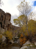 photo thumbnail #14