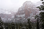 photo thumbnail #6