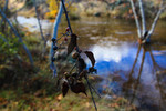 photo thumbnail #8