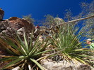 photo thumbnail #10