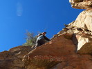 photo thumbnail #11