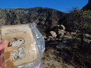 photo thumbnail #12