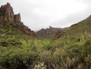 photo thumbnail #1