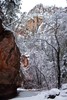 photo thumbnail #7