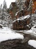 photo thumbnail #12