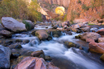photo thumbnail #5