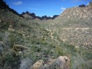 photo thumbnail #4
