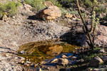 photo thumbnail #7