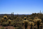 photo thumbnail #13