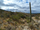 photo thumbnail #3