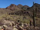 photo thumbnail #3