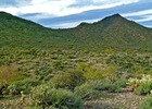 photo thumbnail #6