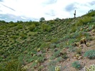 photo thumbnail #9