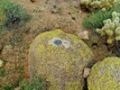 photo thumbnail #11