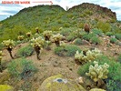 photo thumbnail #13