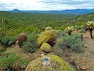 photo thumbnail #14
