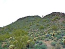 photo thumbnail #15
