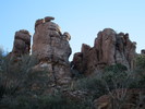 photo thumbnail #8