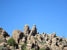photo thumbnail #14