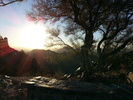 photo thumbnail #8