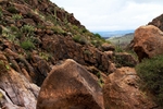 photo thumbnail #6