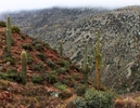 photo thumbnail #9