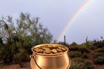 photo thumbnail #11