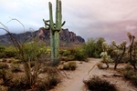 photo thumbnail #12
