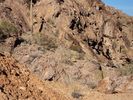 photo thumbnail #12