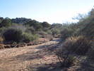 photo thumbnail #6