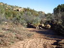 photo thumbnail #8