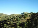 photo thumbnail #11