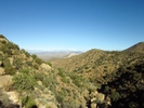 photo thumbnail #12