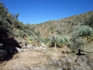 photo thumbnail #14