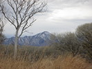 photo thumbnail #1
