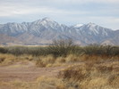 photo thumbnail #4