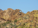 photo thumbnail #3