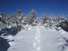 photo thumbnail #4