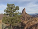 photo thumbnail #3