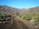 photo thumbnail #1