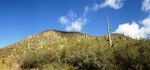 photo thumbnail #12