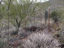 photo thumbnail #9