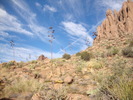 photo thumbnail #2