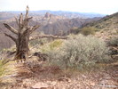photo thumbnail #4