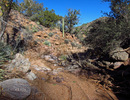 photo thumbnail #5