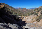 photo thumbnail #8