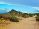 2012-02-14 :1: Brown