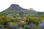photo thumbnail #7