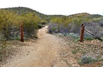 photo thumbnail #9