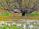 photo thumbnail #13